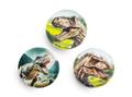 Matrica, tépőzáras, Classy Plus táskához, BELMIL "Lost World", dinoszaurusz